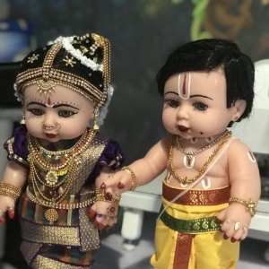 Sri Vaishnava Seva Samithi